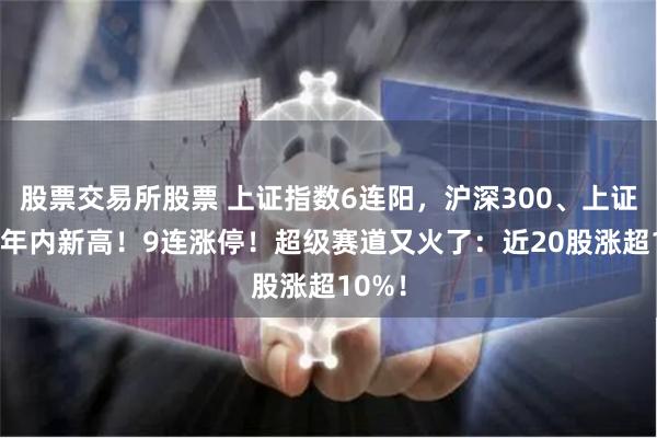 股票交易所股票 上证指数6连阳,沪深300、上证50创年内新高!9连涨停!超级赛道又火了:近20股涨超10%!