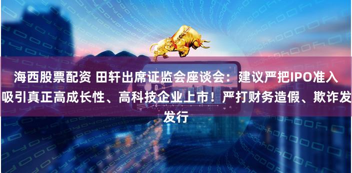 海西股票配资 田轩出席证监会座谈会:建议严把IPO准入、吸引真正高成长性、高科技企业上市!严打财务造假、欺诈发行