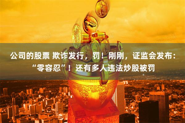 公司的股票 欺诈发行,罚!刚刚,证监会发布:“零容忍”!还有多人违法炒股被罚