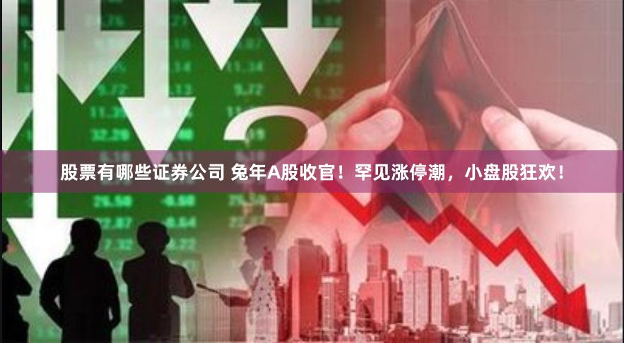 股票有哪些证券公司 兔年A股收官!罕见涨停潮,小盘股狂欢!