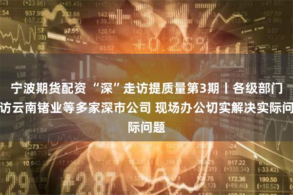 宁波期货配资 “深”走访提质量第3期丨各级部门到访云南锗业等多家深市公司 现场办公切实解决实际问题