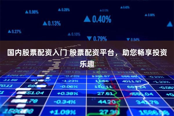 国内股票配资入门 股票配资平台，助您畅享投资乐趣