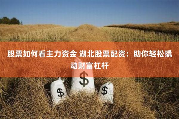 股票如何看主力资金 湖北股票配资:助你轻松撬动财富杠杆